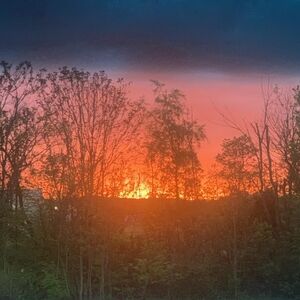 Meet your Posher, Brandi